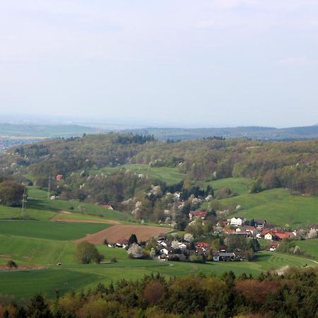 Готель Gasthaus Zum Hohenstein Ober-Kainsbach Екстер'єр фото